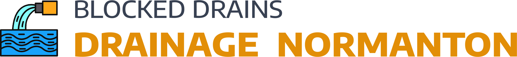 website logo